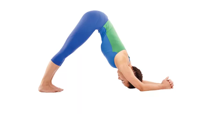 How to Do Downward Dog for Inflexible Beginners - Yoga Rove